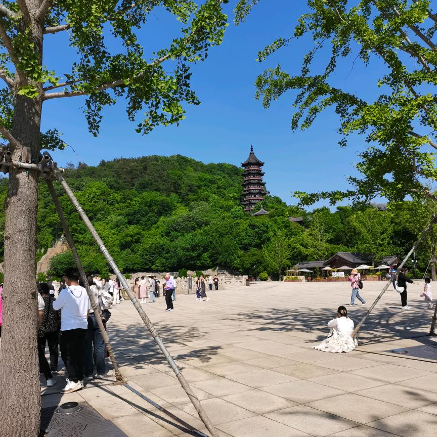 莘县百大三联创维电视资深顾问