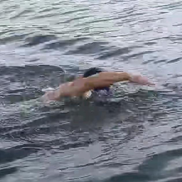 四野之红色后代