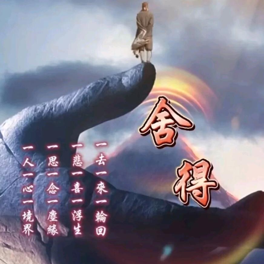䢽氼卄氼