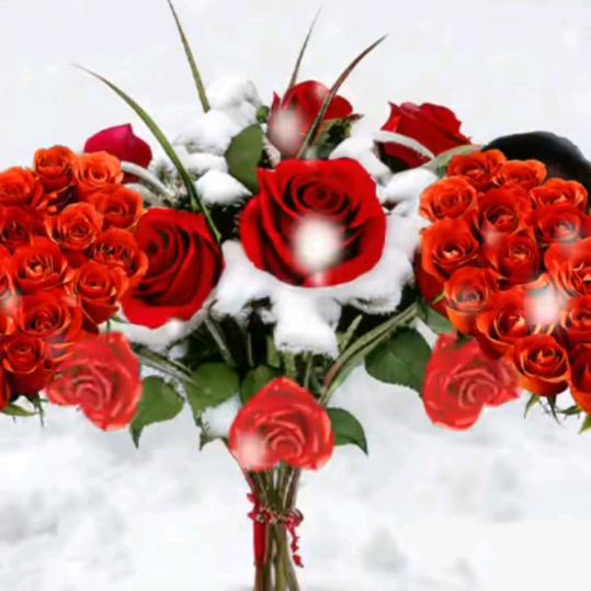 💐二姐💐