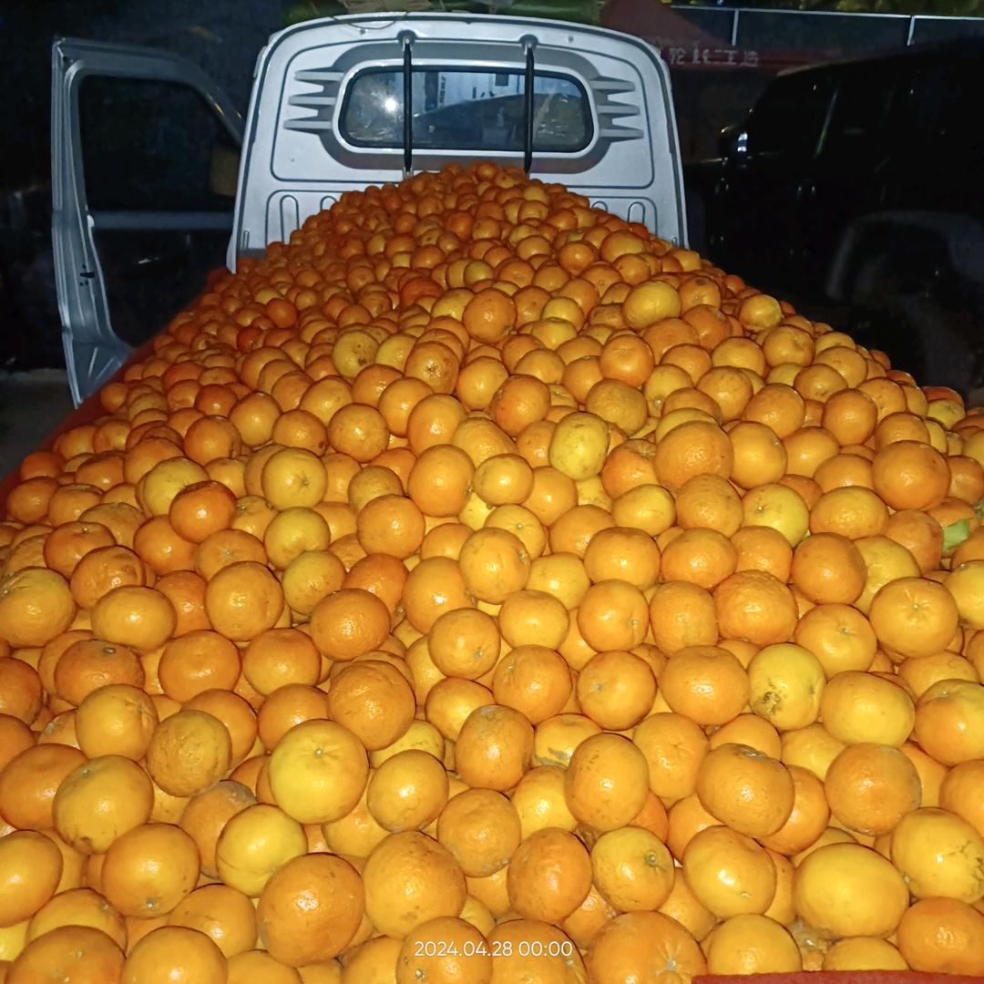 *＾ワ小´◡`昆﹋o﹋﹋水果