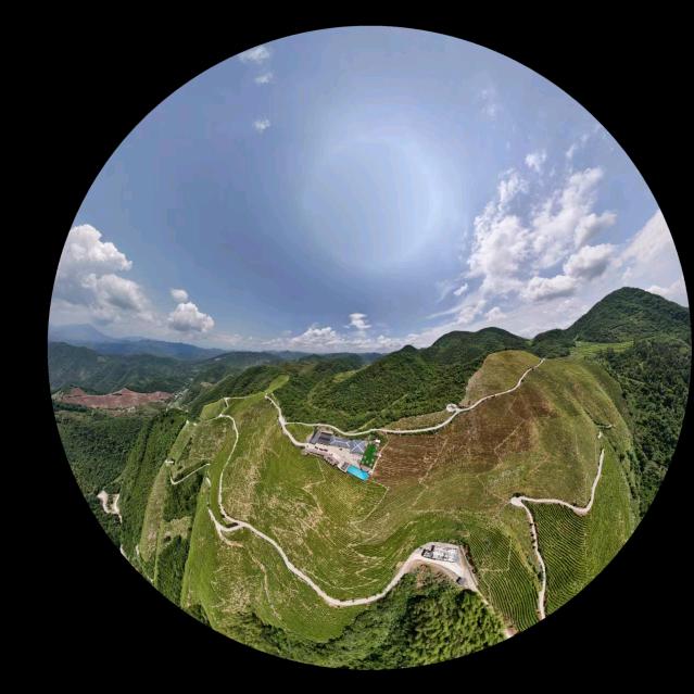 梦里有你不孤单