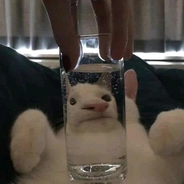 523