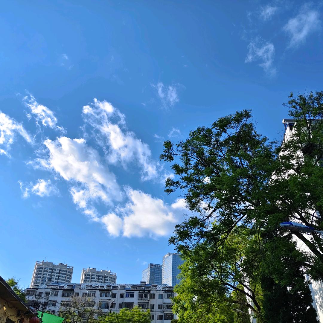 配音界的小学生