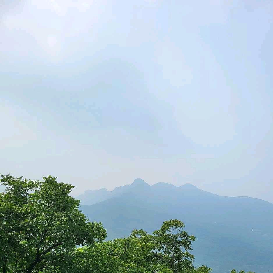 冯老师