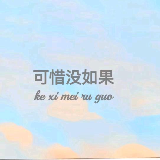 可惜没如果