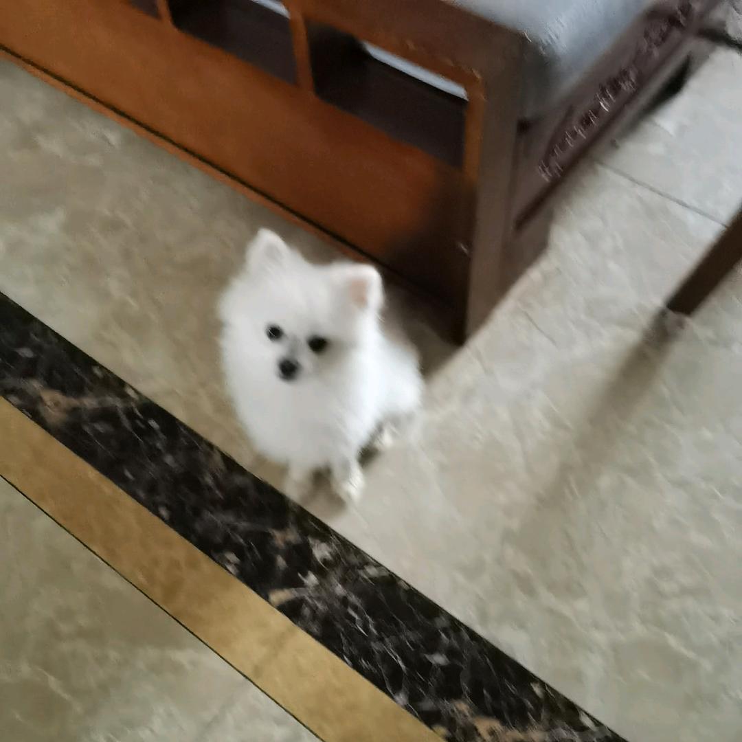 愛S↘丨