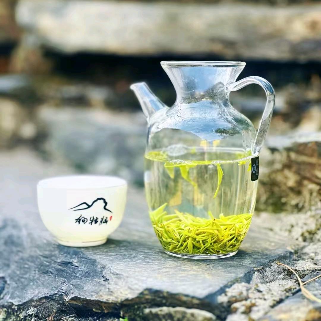 梨梨卖狗牯脑茶