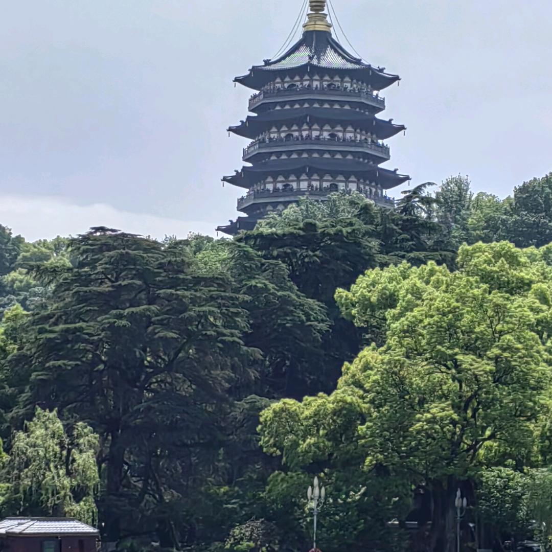 拼搏