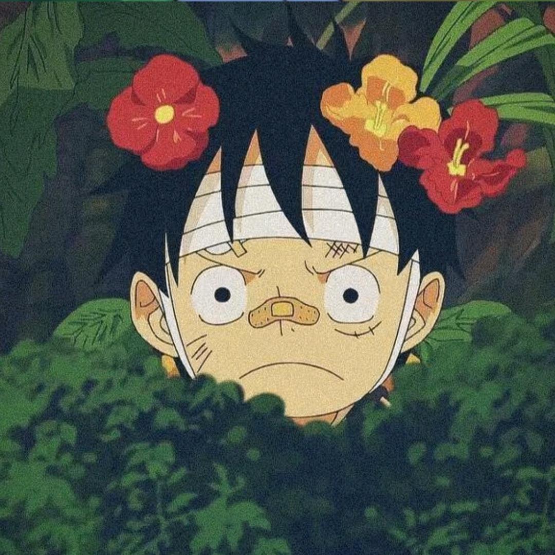 七安