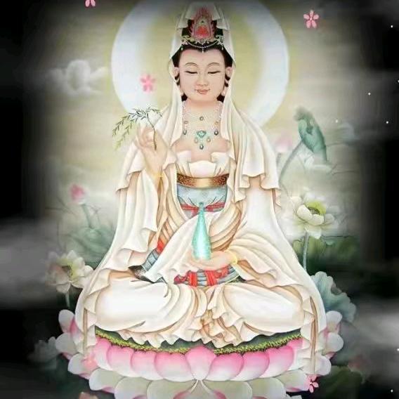 佛前一朵莲