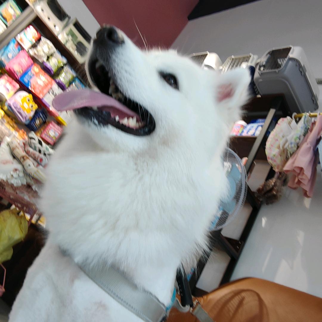 邵宁