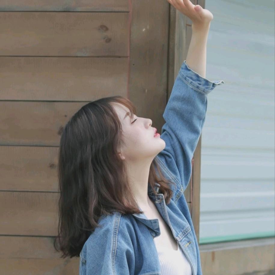 是六六呀
