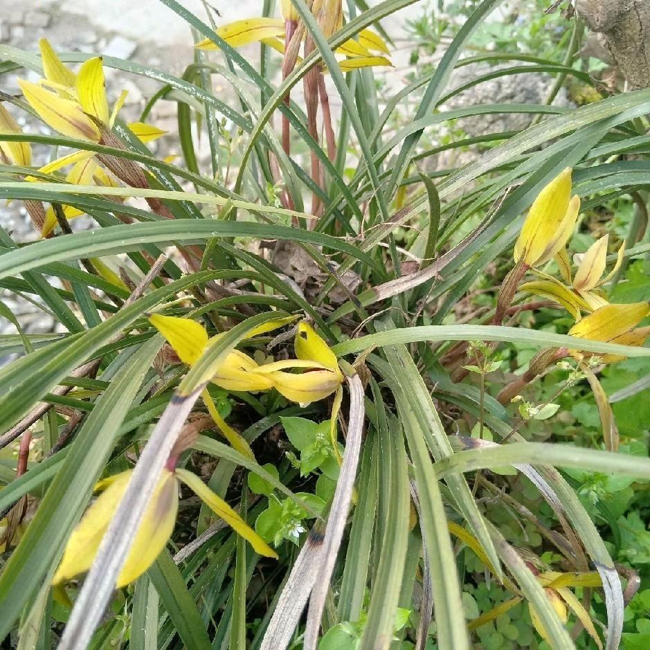 千里姻缘一线牵9896084806