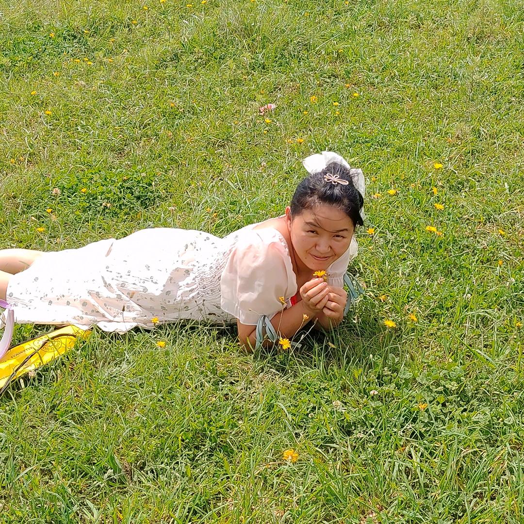 向日葵🌻🌻🌻