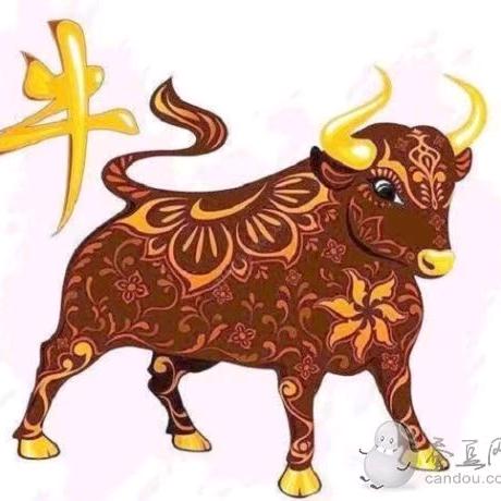 诗诗