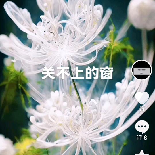 小草(๑• . •๑)