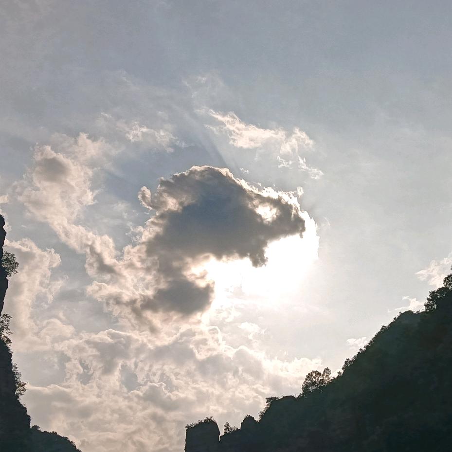 情缘迟心