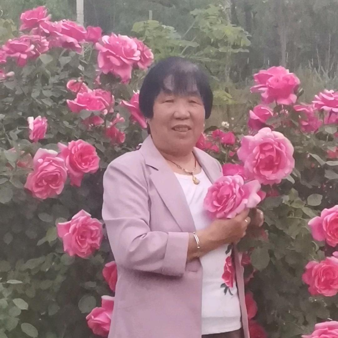 开心每一天😀