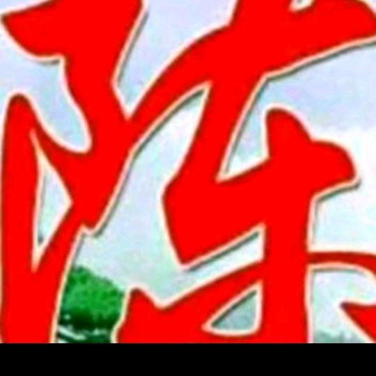 伟康