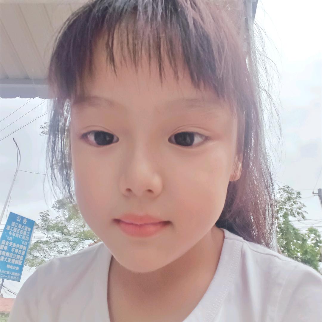 呆呆鱼