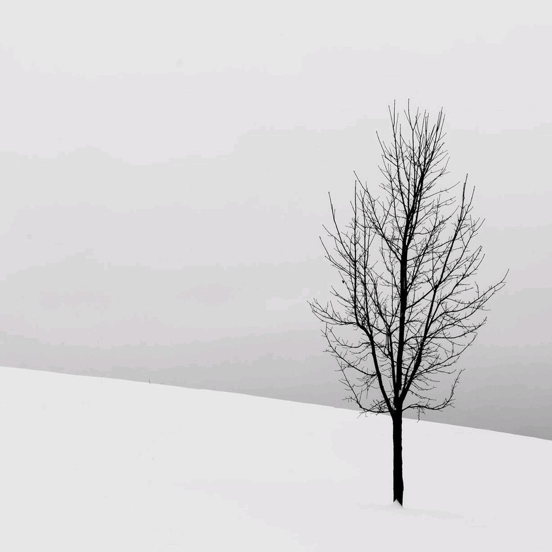 不识庐山