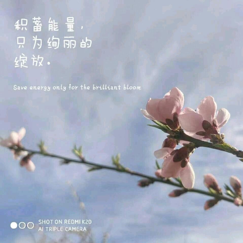 健康平安