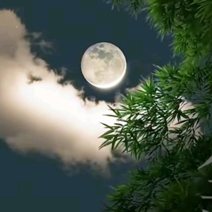 谁又能把红尘看破，看清人间事，看清对于错