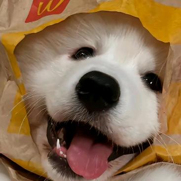 1                  t