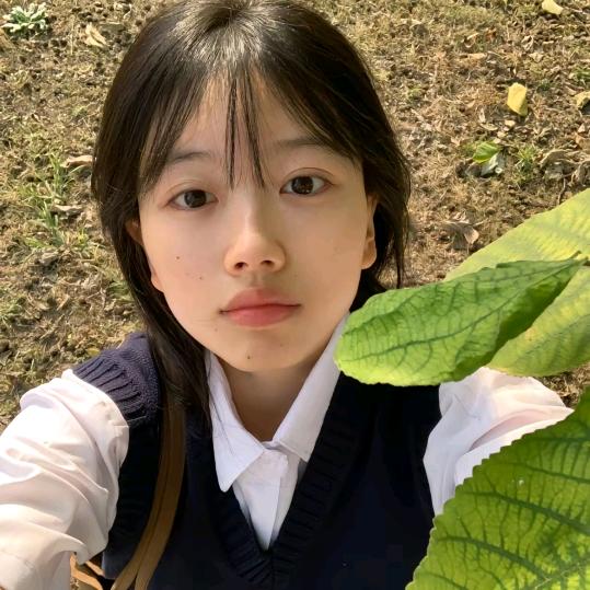 羊了杨🐑