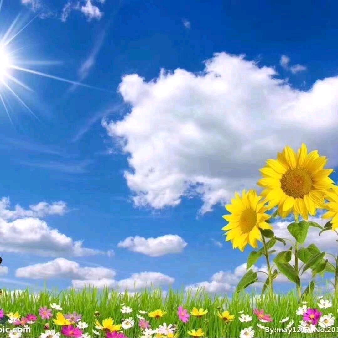 程：程