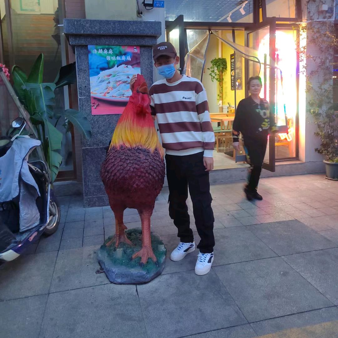 皮特