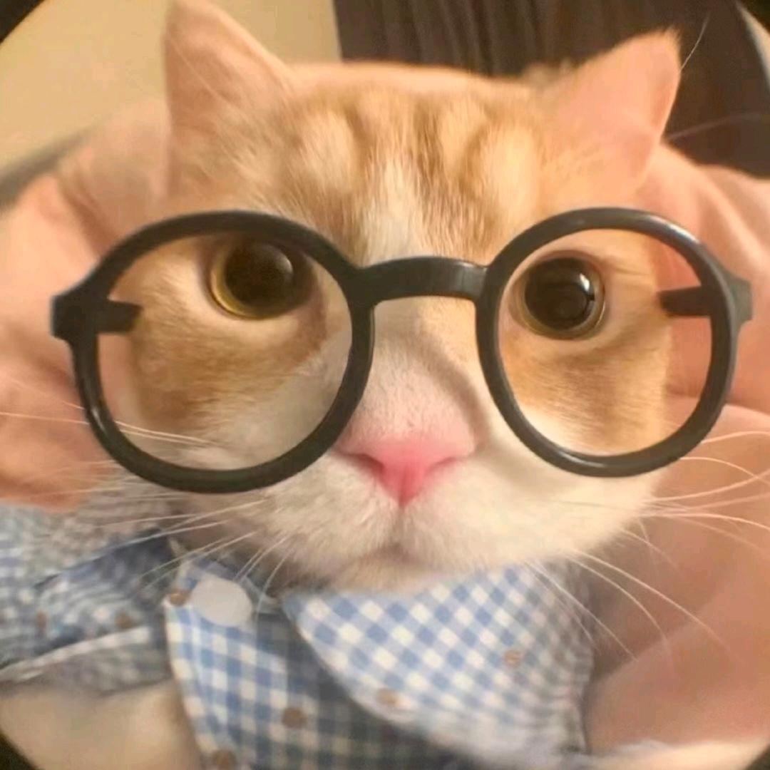 无敌超级霸王龙