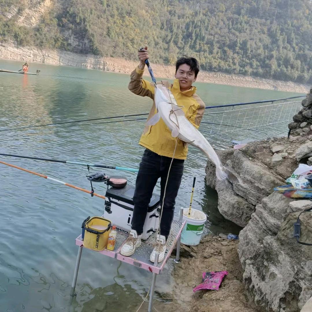 杨宏🎣钓鲢鳙