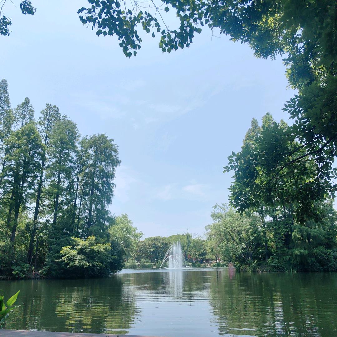陶明宇