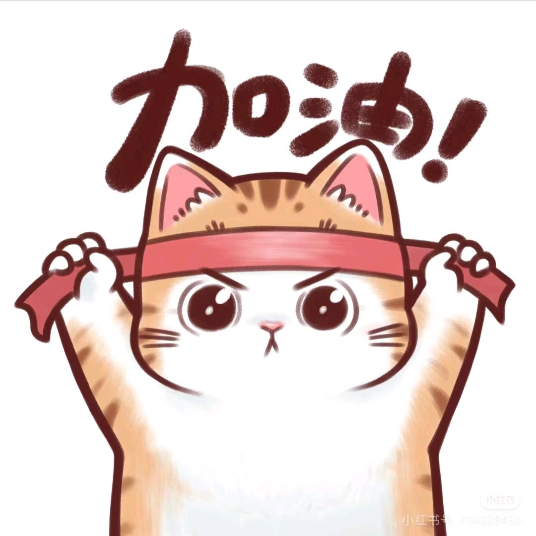 西北政法升学杨老师