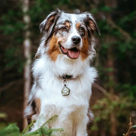 缘分天定（唱山歌）
