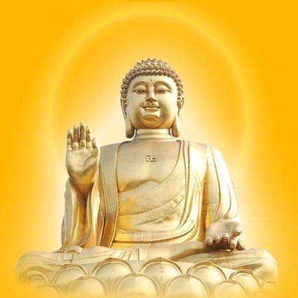 🐂🍺感3悟🐂🍺