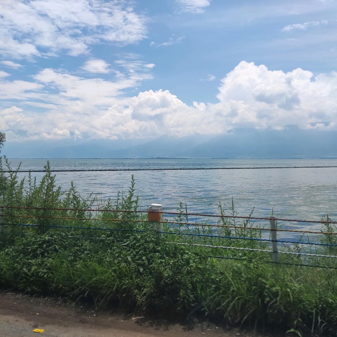 李 公子