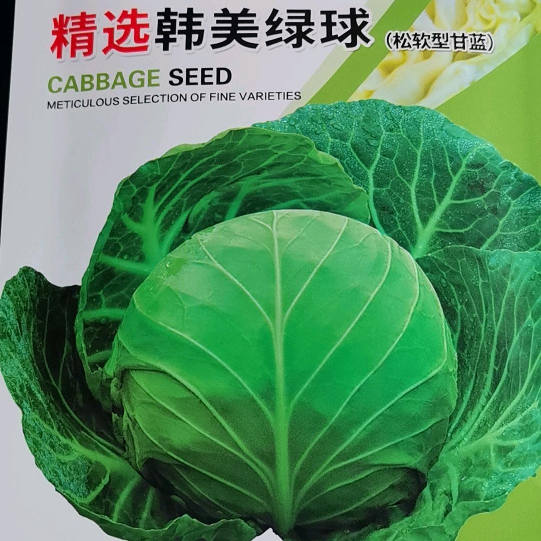 宁夏银川蔬菜收购小虎🐯