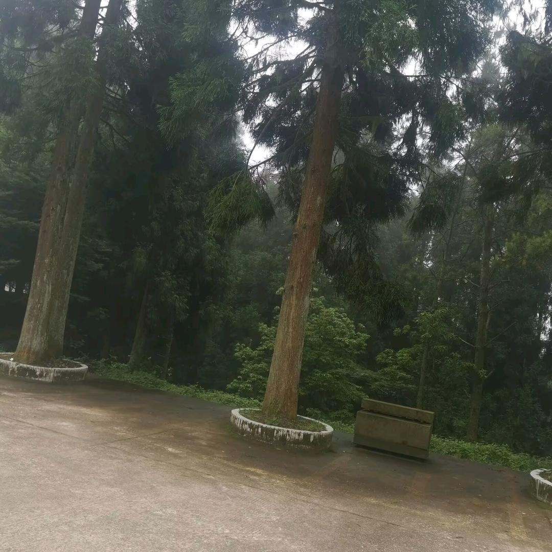 W响应