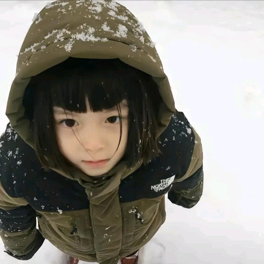 两颗西柚