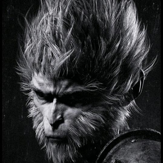 因为怕痛就全点了防御的猴