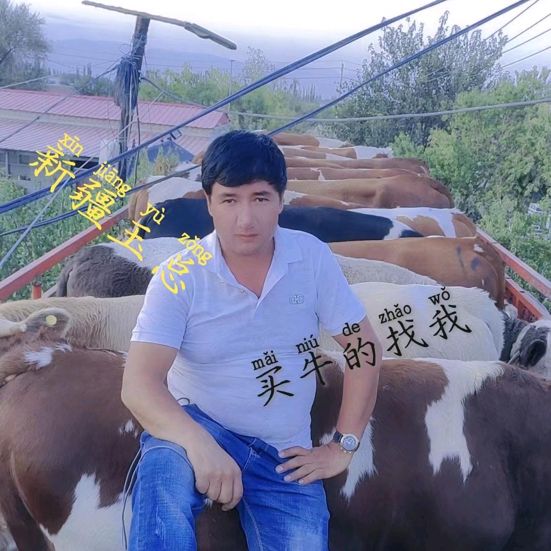 新疆玉总