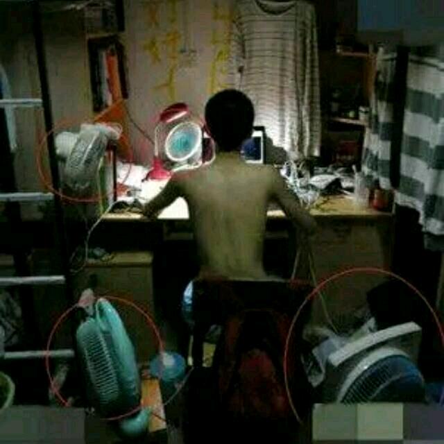 聋的传人