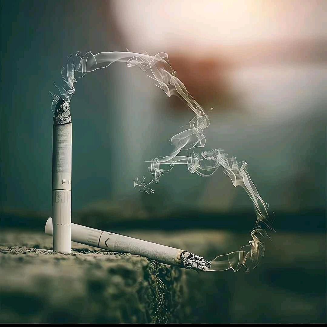 清风半夜鸣蝉☯