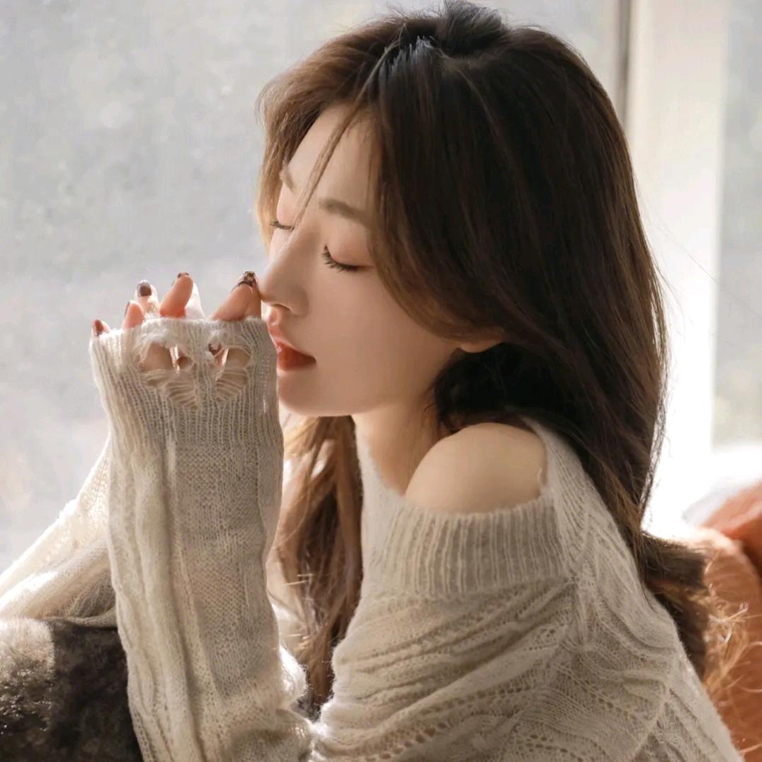 陈菇婆菌菇甄选