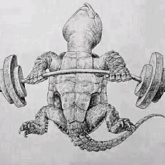 别人家的龟最好看