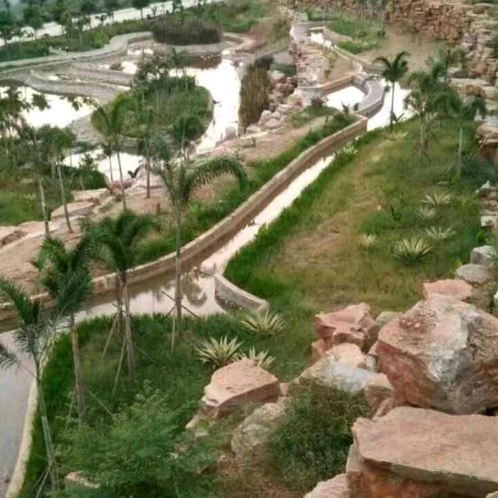 深夜的酒，零晨的烟