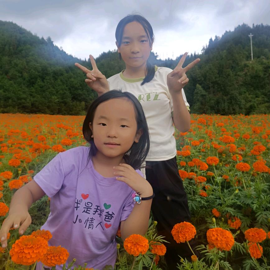 小艳家花草店